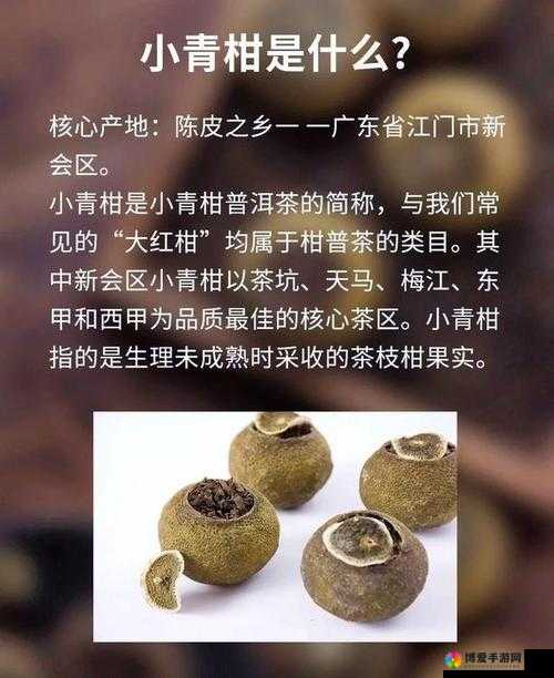 小青柑一线产区和二线产区的区别解析