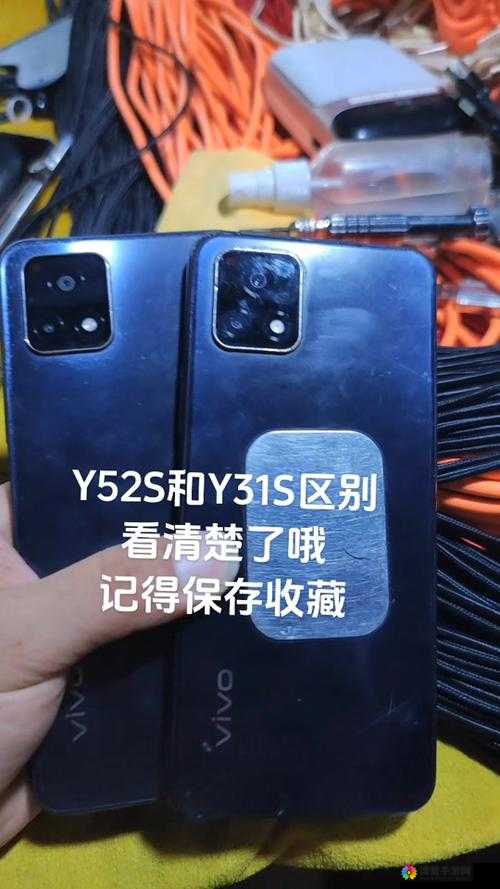 y31s 和 y31s 标准区别更新了许多海外直播间直呼大揭秘