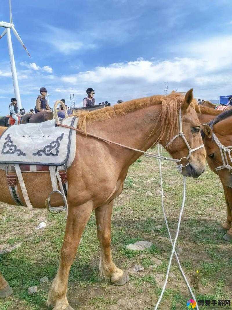 乾隆：马背上的奇妙体验