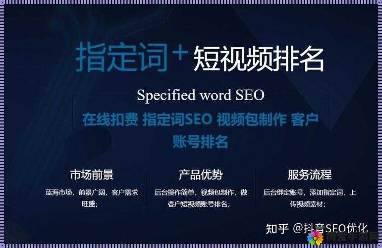 seo 短视频网页入口引流：抓住流量密码