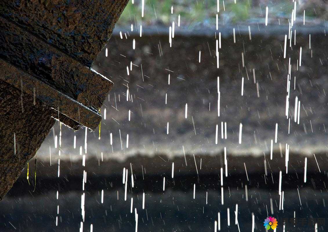 湿漉漉的像是刚下过雨：地面的奇妙景象