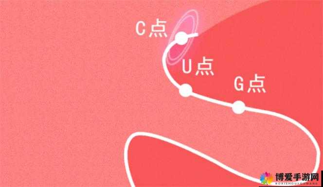 自w到高c的25种方法：全面解析与指南