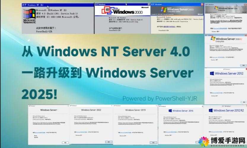 日本 WINDOWS SERVER 角色定位之探讨