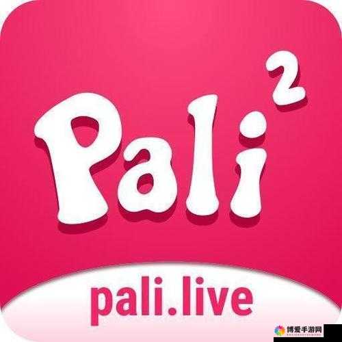 pali02 轻量版：高效便捷的工具