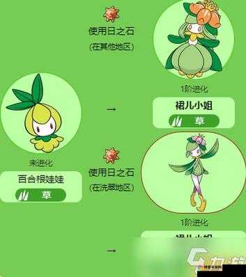 《口袋妖怪联盟》豪华进化礼包攻略：探索最优质的游戏体验与独特进化秘籍分享